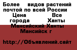 Более200 видов растений почтой по всей России › Цена ­ 100-500 - Все города  »    . Ханты-Мансийский,Ханты-Мансийск г.